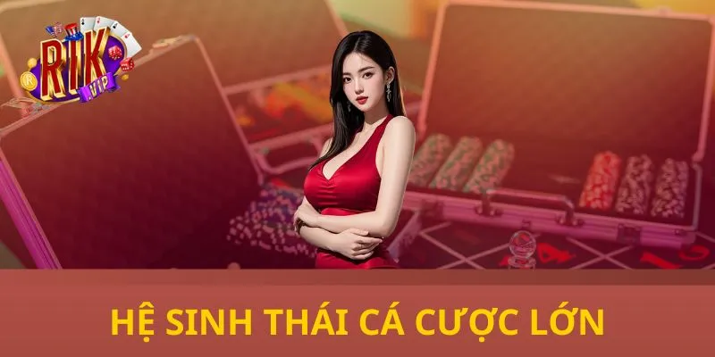 Hệ sinh thái cá cược lớn